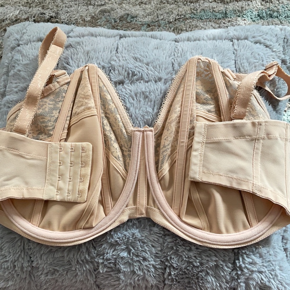 Goddess Bra - Picture 4 of 7